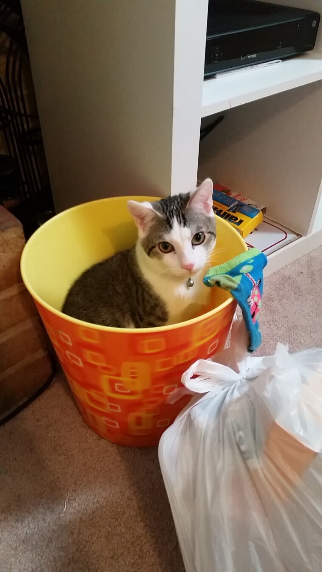 意甲对抗，球员采访揭示战术准备与场上应变策略，意甲防守