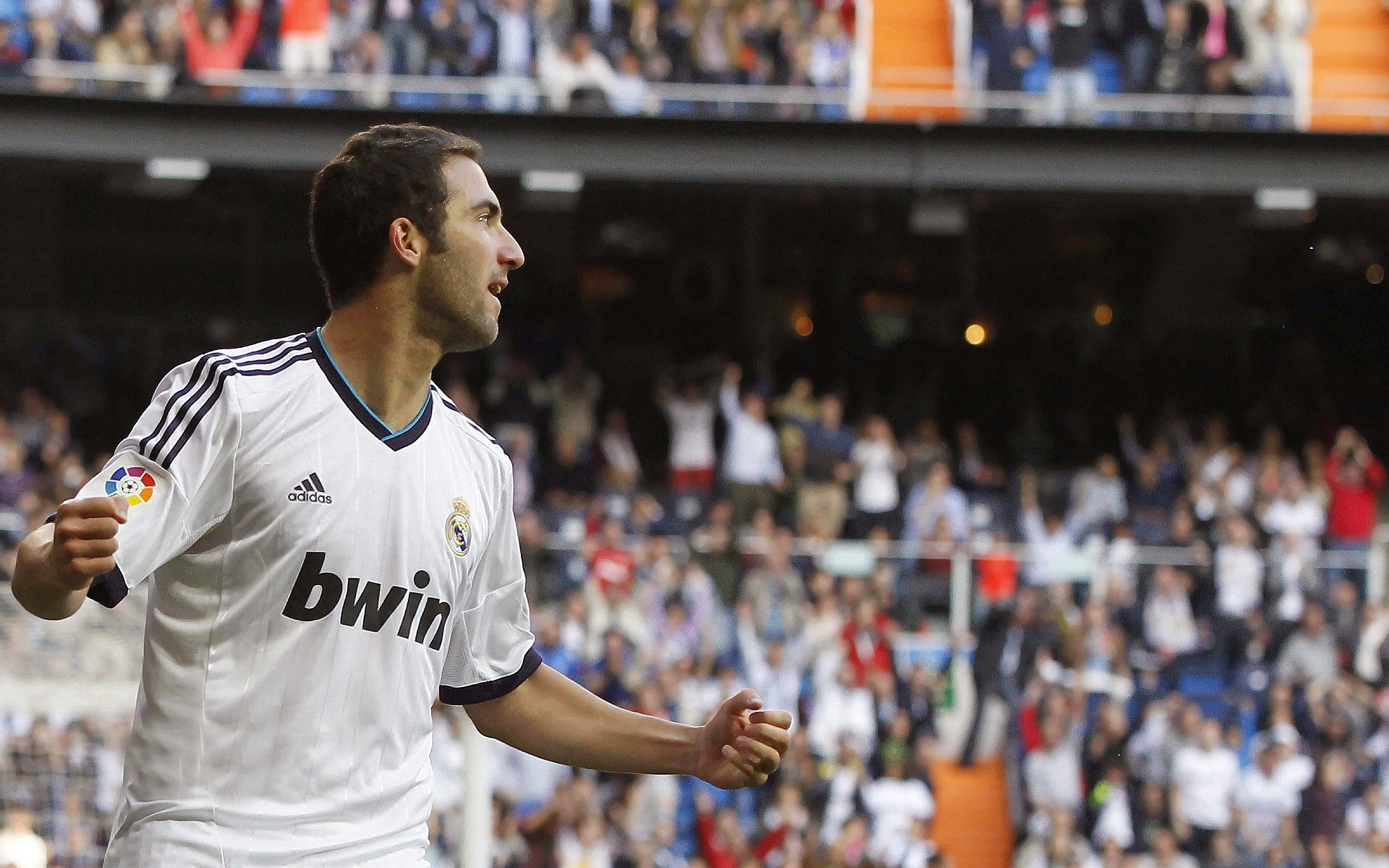 “霍斯特：南非羚羊队的防守悍将，助力队伍称霸全球”