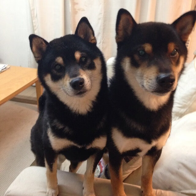 开云集团中国官网-_互动体育夜市：运动娱乐新地标_，互动体育小游戏