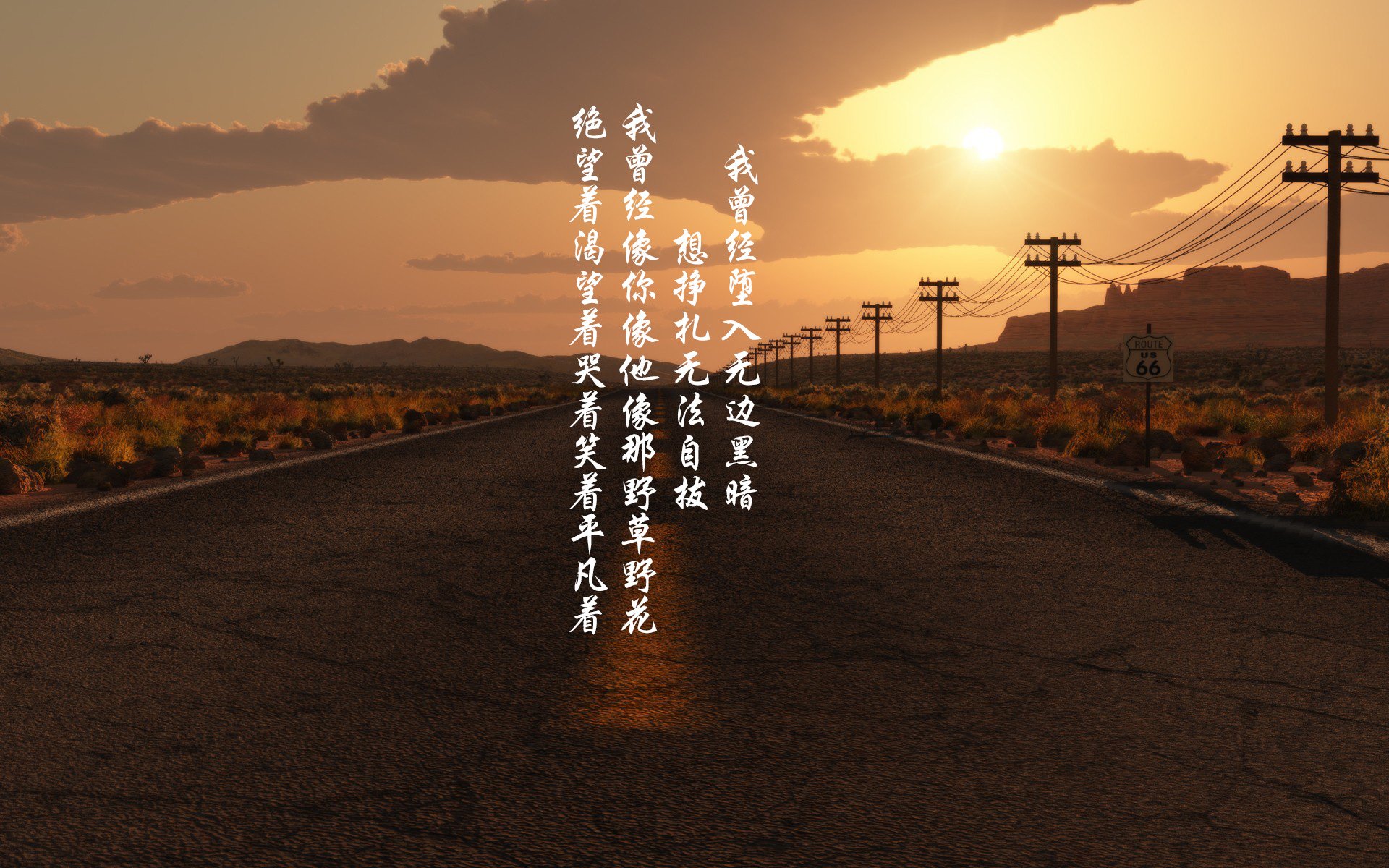 开云-“冠军荣耀：感人瞬间永载史册”，冠军的荣耀