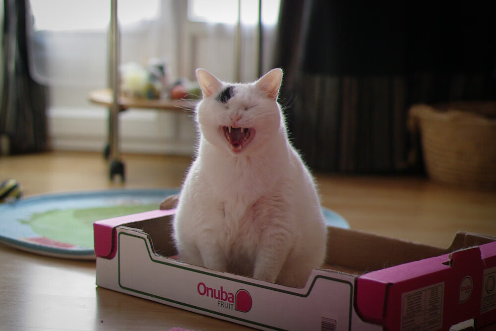 台球比赛现场:紧张激烈的对决,台球惊呆全场视频